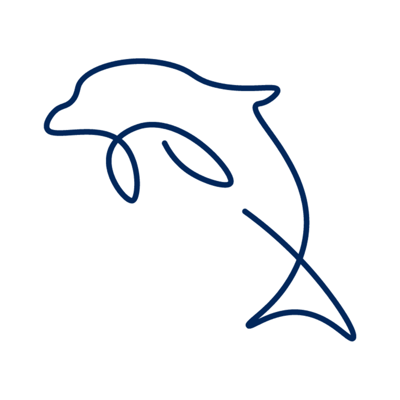 Dolphin