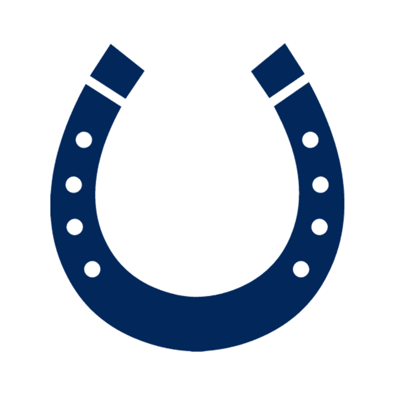 Lucky Horseshoe