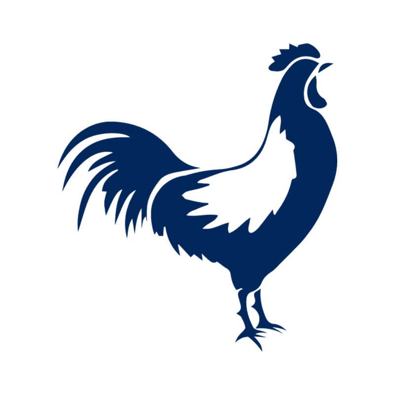 Coq français